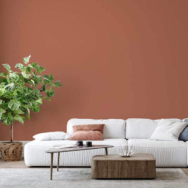 Light Brown Paint Color #A7725D - vernice-wall-paint-interiors-light-brown-6