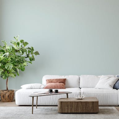 Verde Leggero Pittura - vernice-wall-paint-interiors-light-green-6