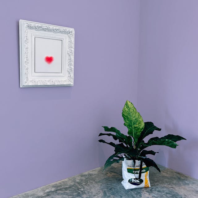 Viola Chiaro Pittura #B8B3D5 - vernice-wall-paint-interiors-light-purple-10
