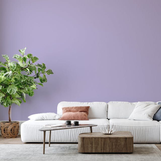 Viola Chiaro Pittura #B8B3D5 - vernice-wall-paint-interiors-light-purple-6