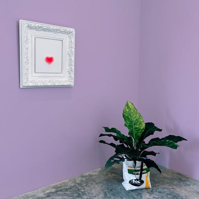 Lilac Paint Color #C4B2D4 - vernice-wall-paint-interiors-lilac-10
