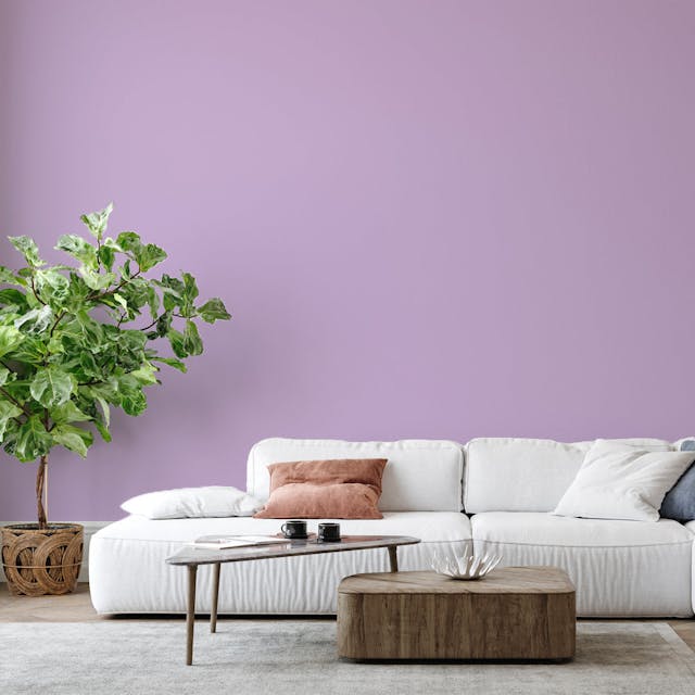 Lilac Paint Color #C4B2D4 - vernice-wall-paint-interiors-lilac-6