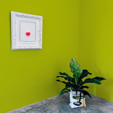Lime Green Paint Color #BCC647 - vernice-wall-paint-interiors-lime-green-10