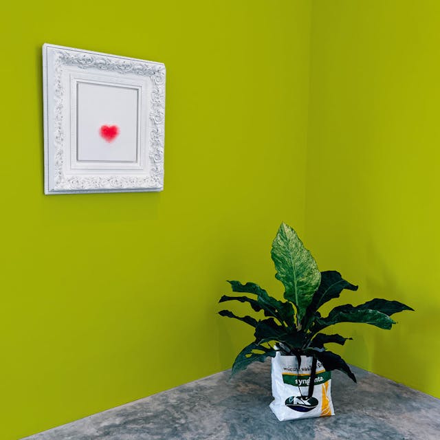 Verde Lime Pittura #BCC647 - vernice-wall-paint-interiors-lime-green-10