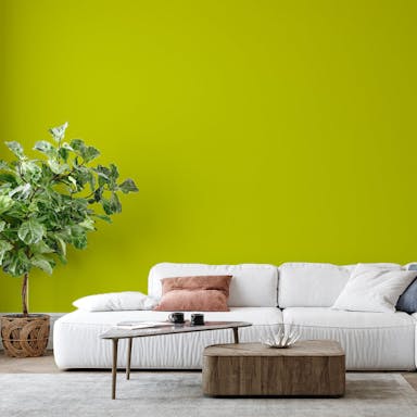 Lime Green Paint Color #BCC647 - vernice-wall-paint-interiors-lime-green-6
