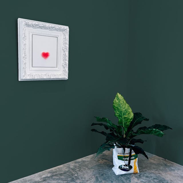 Verde Marino Pittura - vernice-wall-paint-interiors-marine-green-10
