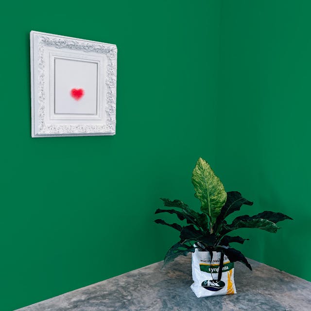 Verde Prato Pittura #0C8256 - vernice-wall-paint-interiors-meadow-green-10