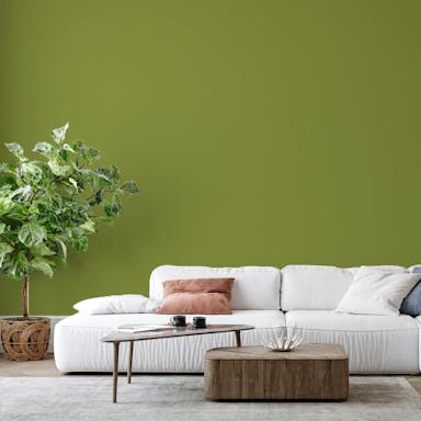 Military Green Paint Color #89934E - vernice-wall-paint-interiors-military-green-6