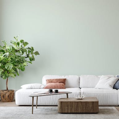 Milk and Mint Paint Color #E2EAE4 - vernice-wall-paint-interiors-milk-and-mint-6