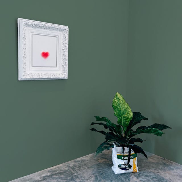 Verde Mimetico Pittura - vernice-wall-paint-interiors-mimetic-green-10