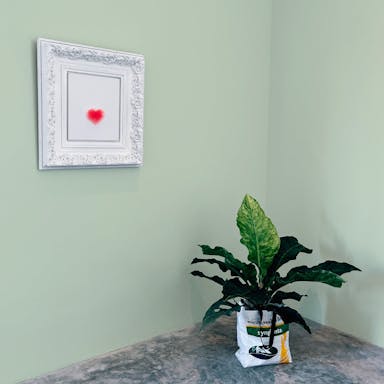 Mint Green Paint Color #D6E3CE - vernice-wall-paint-interiors-mint-green-10