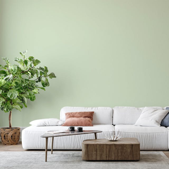 Mint Green Paint Color #D6E3CE - vernice-wall-paint-interiors-mint-green-6