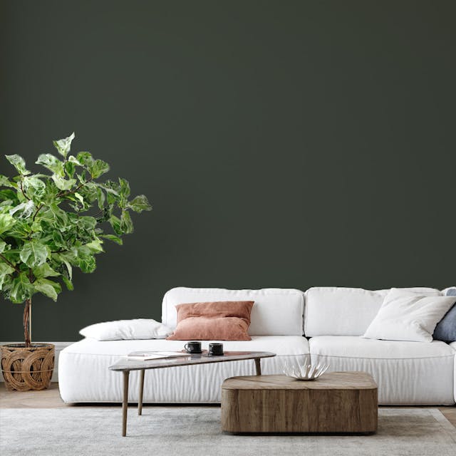 Olive Green Paint Color - vernice-wall-paint-interiors-olive-green-6