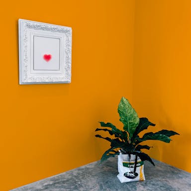 Orange Chic Pittura #FCA119 - vernice-wall-paint-interiors-orange-chic-10