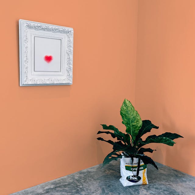 Arancione Sorbetto Pittura #FFB187 - vernice-wall-paint-interiors-orange-sorbet-10