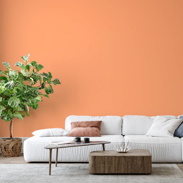 Orange Sorbet Paint Color #FFB187 - vernice-wall-paint-interiors-orange-sorbet-6