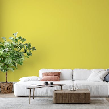 Pale Green Paint Color #E9DF6E - vernice-wall-paint-interiors-pale-green-6