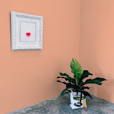 Pale Orange Paint Color #FFC09E - vernice-wall-paint-interiors-pale-orange-10