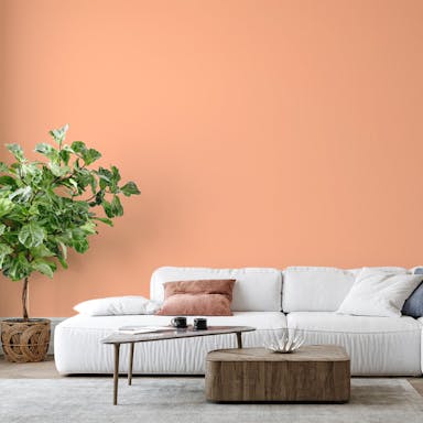 Pale Orange Paint Color #FFC09E - vernice-wall-paint-interiors-pale-orange-6