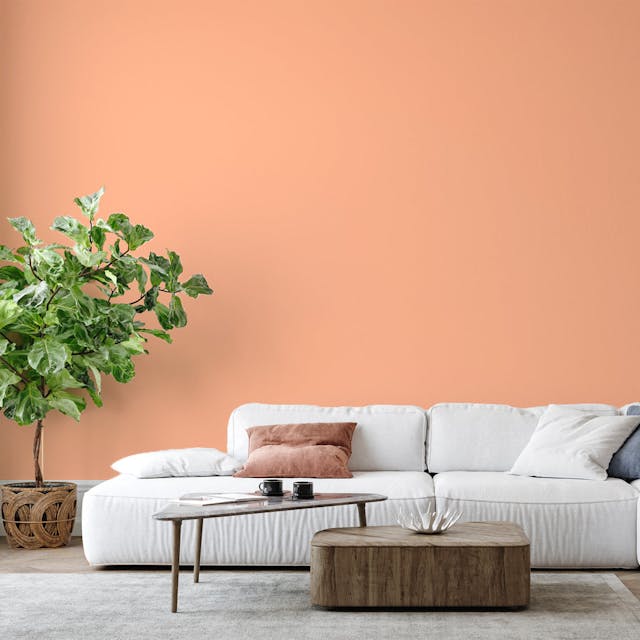 Pale Orange Paint Color #FFC09E - vernice-wall-paint-interiors-pale-orange-6