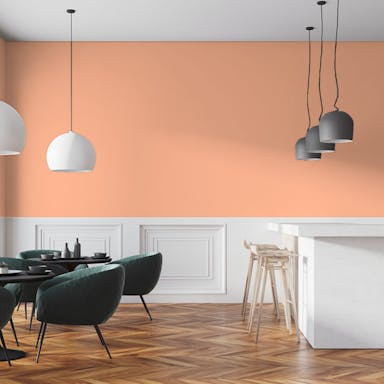 Pale Orange Paint Color #FFC09E - vernice-wall-paint-interiors-pale-orange-7