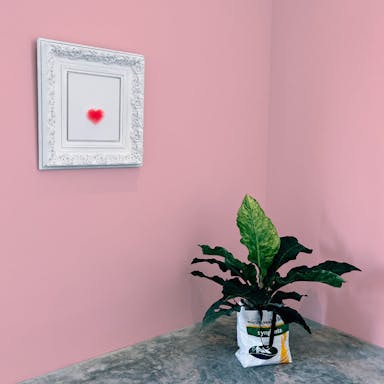 Pale Pink Paint Color #F7C3C8 - vernice-wall-paint-interiors-pale-pink-10
