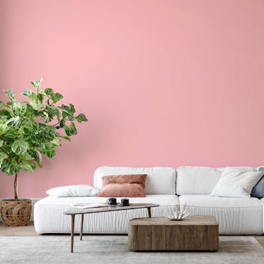 Pale Pink Paint Color #F7C3C8 - vernice-wall-paint-interiors-pale-pink-6