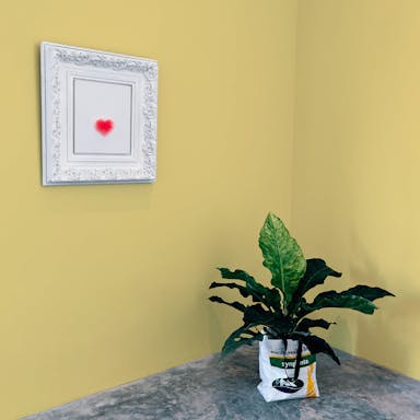 Giallo Pallido Pittura #FAE595 - vernice-wall-paint-interiors-pale-yellow-10