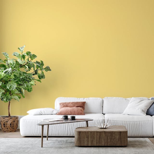 Giallo Pallido Pittura #FAE595 - vernice-wall-paint-interiors-pale-yellow-6