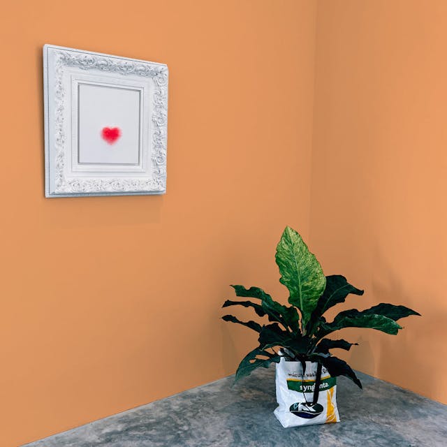 Arancione Pastello Pittura #FAB179 - vernice-wall-paint-interiors-pastel-orange-10