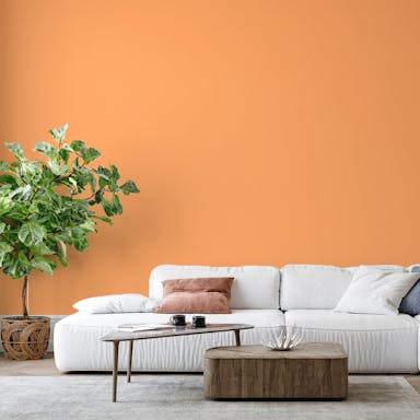Arancione Pastello Pittura #FAB179 - vernice-wall-paint-interiors-pastel-orange-6