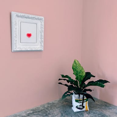 Pastel Pink Paint Color #F1CAC2 - vernice-wall-paint-interiors-pastel-pink-10