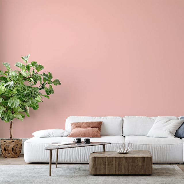 Pastel Pink Paint Color #F1CAC2 - vernice-wall-paint-interiors-pastel-pink-6