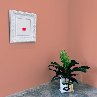 Peach Paint Color - vernice-wall-paint-interiors-peach-10