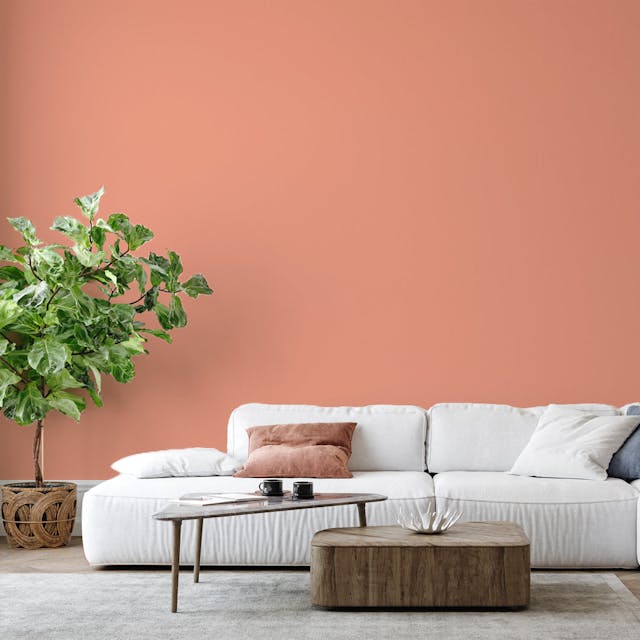 Peach Paint Color - vernice-wall-paint-interiors-peach-6