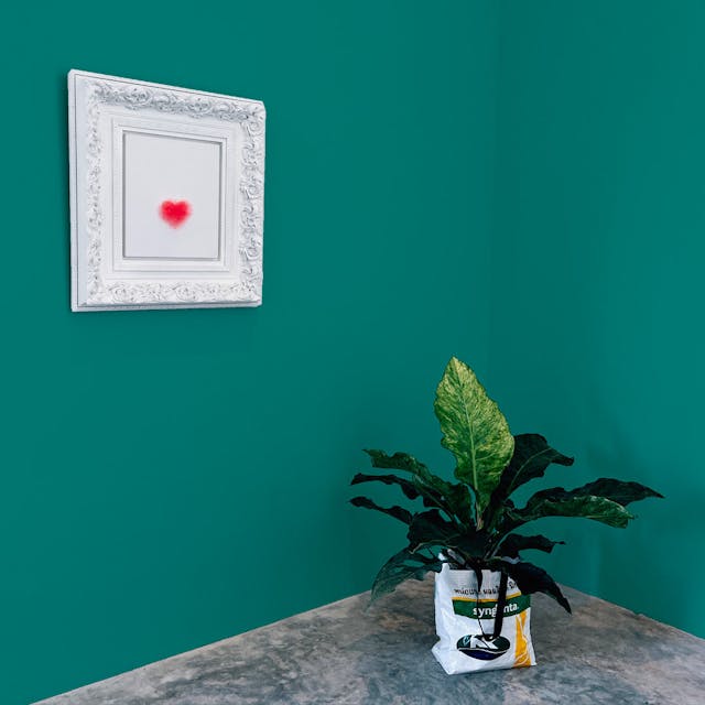Petrol Green Paint Color #00847F - vernice-wall-paint-interiors-petrol-green-10