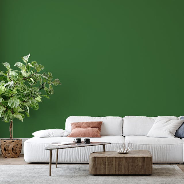 Verde Pino Pittura #44673E - vernice-wall-paint-interiors-pine-green-6