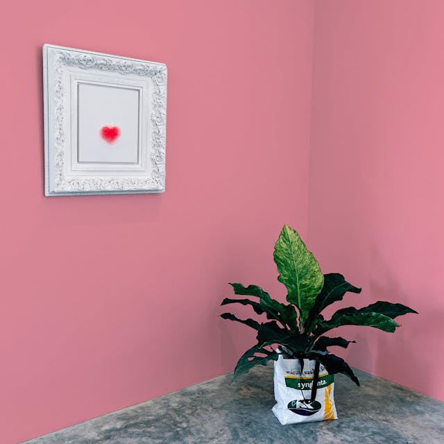 Pink Paint Color #F09EA8 - vernice-wall-paint-interiors-pink-10