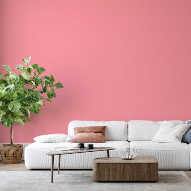 Pink Paint Color #F09EA8 - vernice-wall-paint-interiors-pink-6