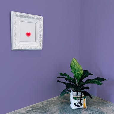 Purple Paint Color #8B85B5 - vernice-wall-paint-interiors-purple-10