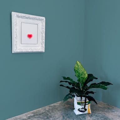 Sage Paint Color - vernice-wall-paint-interiors-sage-10