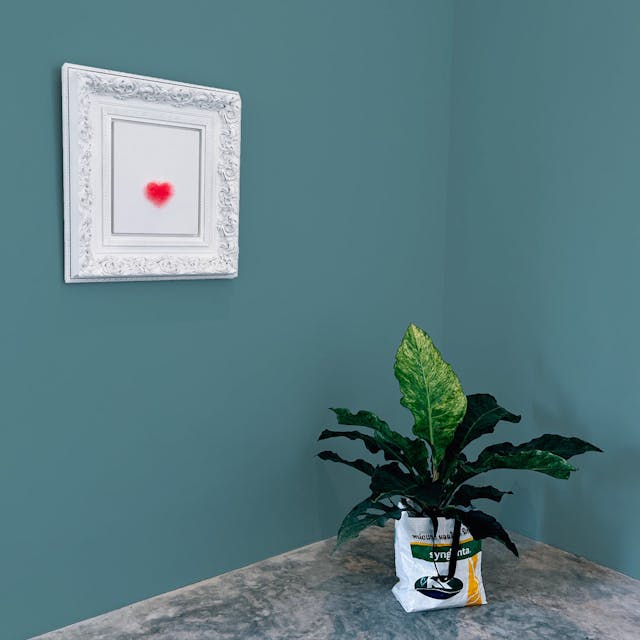 Salvia Pittura - vernice-wall-paint-interiors-sage-10