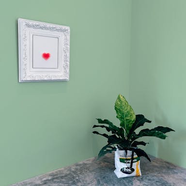 Sage Green Paint Color #B9D3B3 - vernice-wall-paint-interiors-sage-green-10