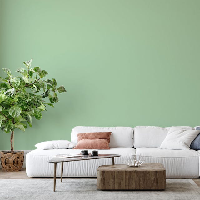 Sage Green Paint Color #B9D3B3 - vernice-wall-paint-interiors-sage-green-6