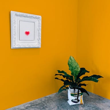 Arancio Tramonto Pittura - vernice-wall-paint-interiors-sunset-orange-10