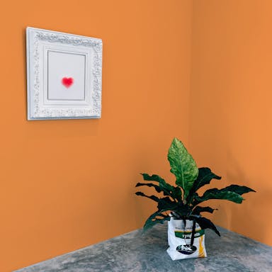 Arancione Tramonto Pittura #F9A15E - vernice-wall-paint-interiors-sunset-orange-10_398a1be3-fbc0-4833-bb88-153774e596eb
