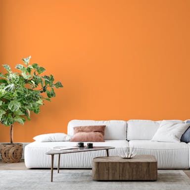 Arancione Tramonto Pittura #F9A15E - vernice-wall-paint-interiors-sunset-orange-6_802db091-275c-41f2-9212-0b189b74e1d5