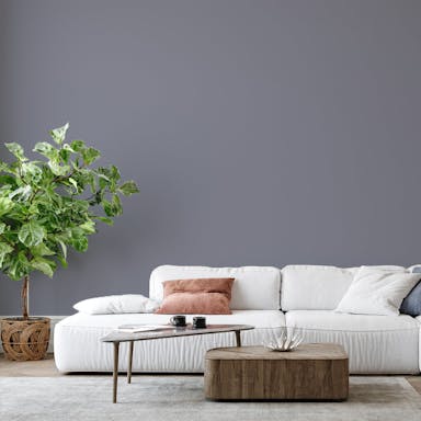 Titan Grey Paint Color - vernice-wall-paint-interiors-titan-grey-6