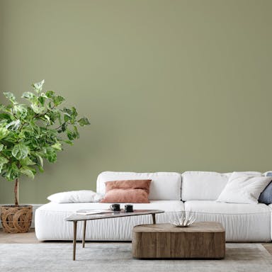 Tundra Green Paint Color - vernice-wall-paint-interiors-tundra-green-6