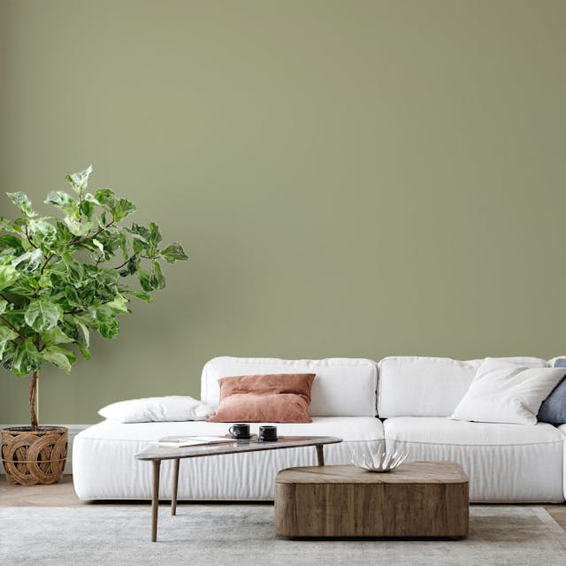 Verde Tundra Pittura - vernice-wall-paint-interiors-tundra-green-6